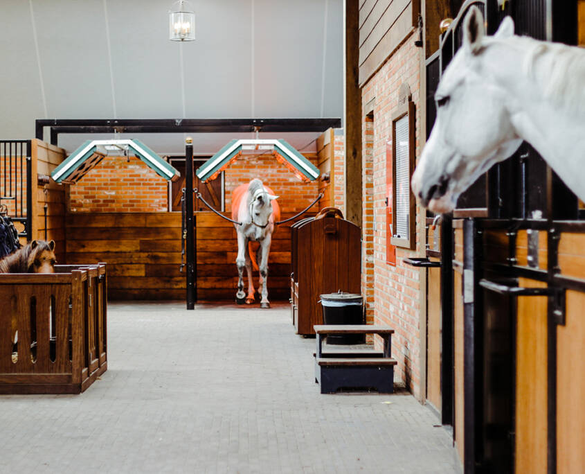 Gallery Ashford farm